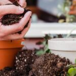 Kompostieren für Anfänger