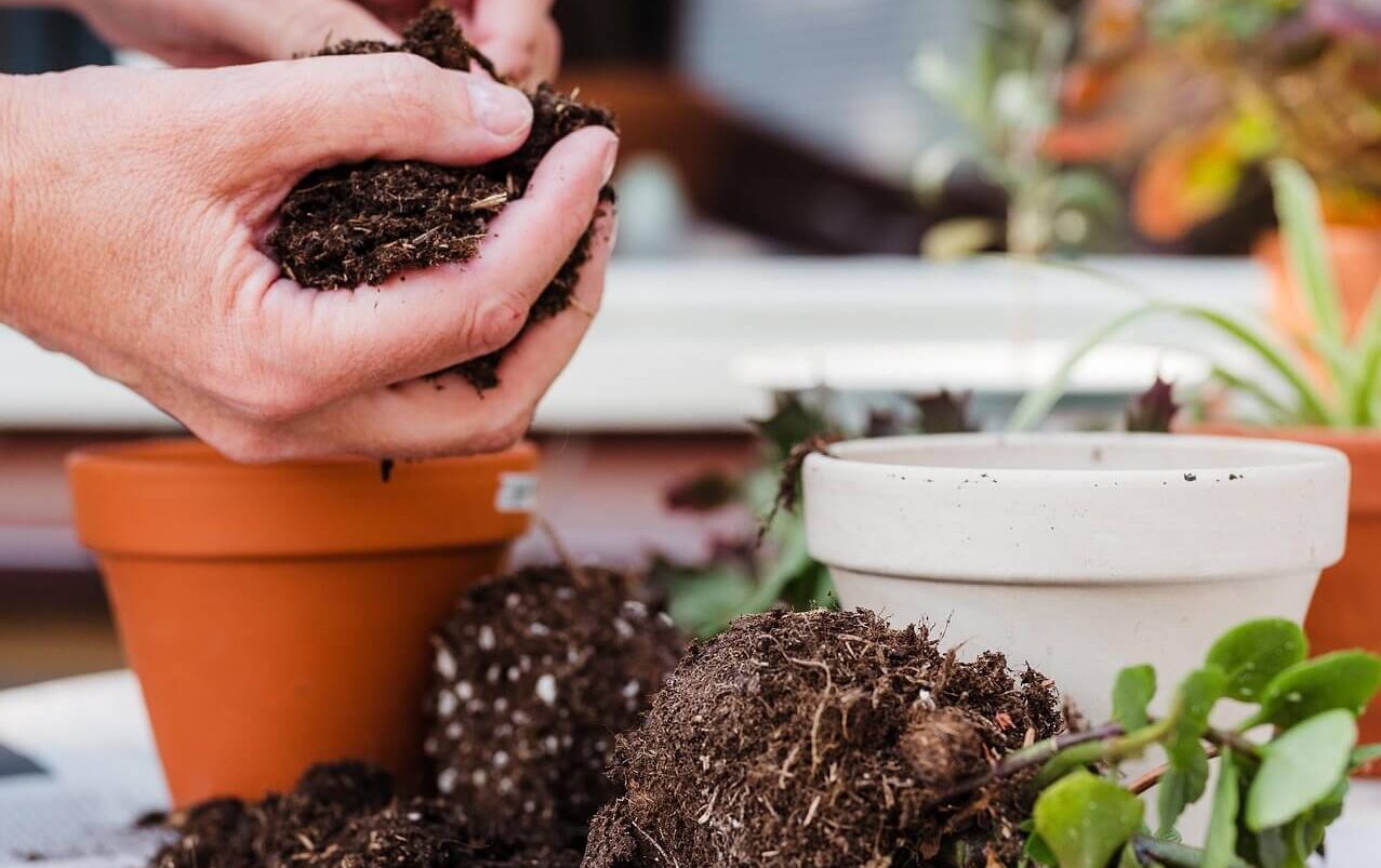 Kompostieren für Anfänger